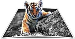 Project Endangered Tigers - Tiger Cub