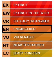 Tiger Species - Indochinese tigers IUCN conservation status chart